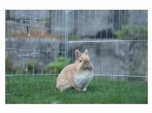 Obrázek k výrobku 81050 - Výběh pro králíky, hlodavce a drůbež KERBL 220x103x103 cm