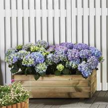 Obrázek k výrobku 69825 - vyvýšený záhon LANITPLAST POTTING8 (S7231)