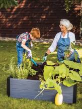 Obrázek k výrobku 88168 - VYVÝŠENÝ ZÁHON MAPLE Square šedý