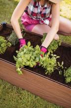 Obrázek k výrobku 82738 - VYVÝŠENÝ ZÁHON MAPLE TROUGH - HNĚDÝ