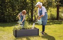 Obrázek k výrobku 82725 - VYVÝŠENÝ ZÁHON MAPLE TROUGH - ŠEDÝ