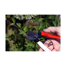 Obrázek k výrobku 92759 - Zahradní nůžky pro malé ruce Okatsune 101